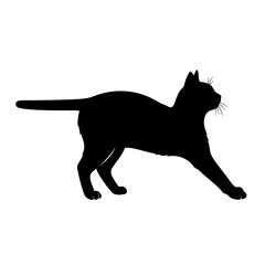 Black cat silhouette, feline vector icon, animal shape, pet design element silhouette © MD. SAIFUL