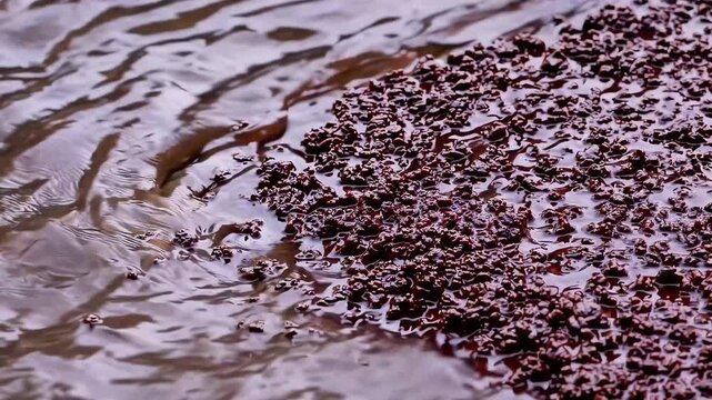 Splashing muddy mountain river wave current washes over dark brown small pebbles outdoor view of fast stream flow with bubbles clean liquid moving quickly over smooth stones background surface top
