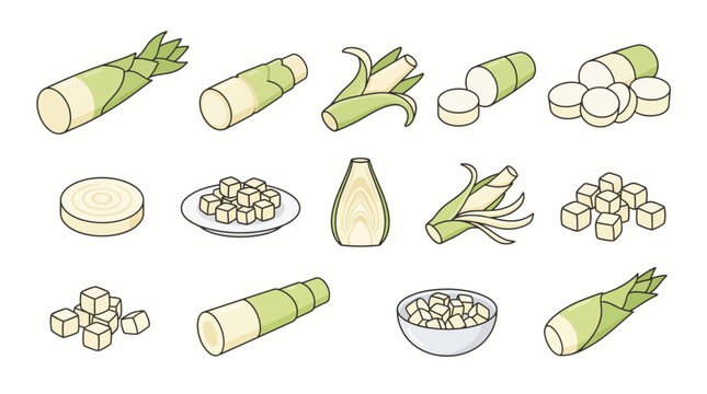 Heart of Palm Shoot Cartoon Vector Set Isolated on White Background