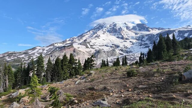 Time lapse of Mount Rainier summit cloud and pine forest in Washington state