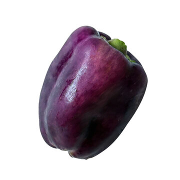 カラーピーマン 紫色の丸ごと1個の切り抜き パプリカ 紫ピーマン 野菜食材素材