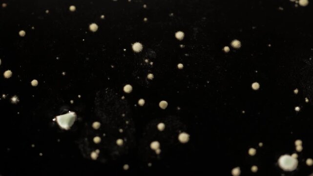 Close-up time-lapse of fuzzy mold colonies developing on brown liquid, microbiology concept.