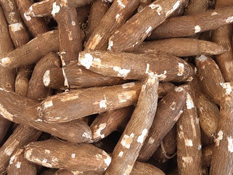 Close-up photo of a pile of brown cassava.