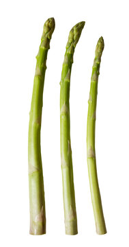 アスパラガス 生のまま並べられた3本の切り抜き グリーンアスパラ 野菜食材