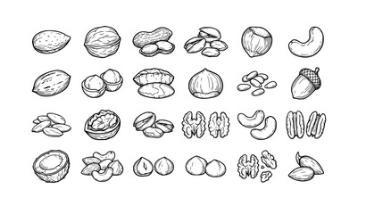 Hand Drawn Nuts Collection Vintage Sketch Healthy Food Vector Set Isolated © Yeasin