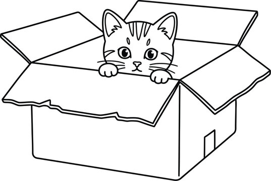 A curious little kitten peeks out from an open cardboard box with torn edges, looking directly at the viewer with big eyes and paws resting on the box's edge.