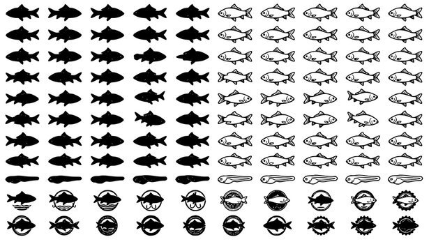 Realistic Katla Fish Vector Collection Freshwater Carp Silhouettes and Outline Icons