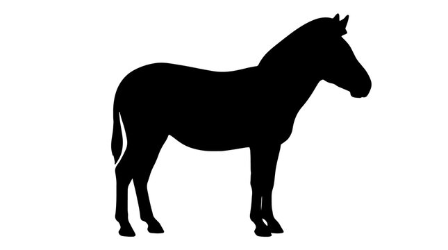 Black silhouette of a standing zebra or wild horse, side profile view, isolated on a white background. Simple graphic vector illustration of African wildlife.