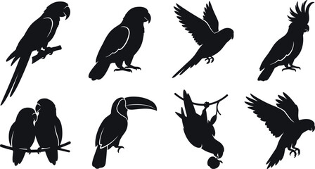 Tropical Parrot and Exotic Bird Silhouette Icon Set with Macaw Cockatoo Toucan and Lovebirds for Nature Wildlife Conservation and Jungle Graphic Designs © Remi