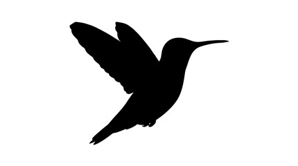 Minimalist black hummingbird silhouette in flying pose isolated on a clean white background graphic vector illustration design icon © Mir
