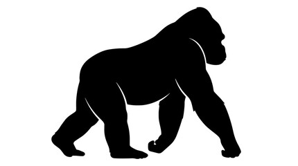 Black gorilla silhouette walking on all fours, side view profile of a silverback ape isolated on white background, vector graphic illustration. © Mir
