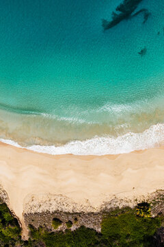 Aerial top view of a beach and turquoise sea, Fernando de Noronha, Pernambuco, Brazil
