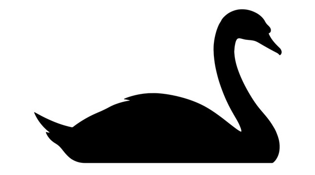 Black swan silhouette, bird icon, animal symbol, graphic design element