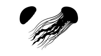 Black jellyfish, jellyfish silhouette, ocean creature, sea animal, marine life © Mir