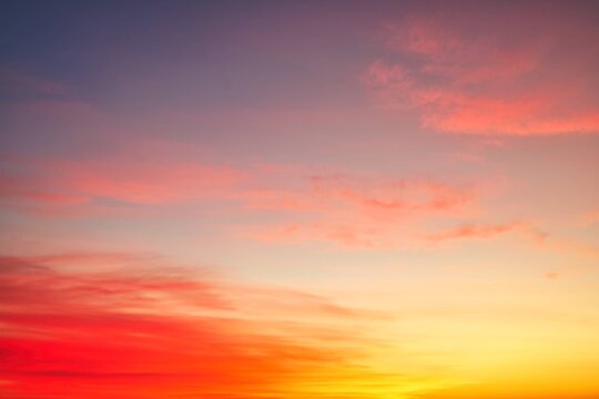 Dawn Mist Over Flat Farmland of New Zealand