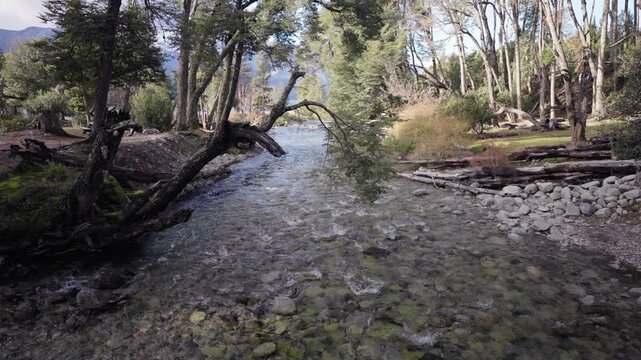 Crystal-clear mountain stream flows through Villa Traful, Lago Traful, Neuqu&eacute;n, Argentina, bordered by native Patagonian forest, riparian woodland, rocky riverbanks and pristine freshwater ecosystem,