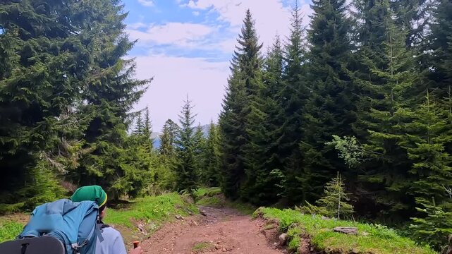 Backpacker walking rear view along forest dirt road in Georgia, carrying large pack and camping mat through pine woodland for trekking routes, hiking travel, outdoor endurance, and Caucasus nature