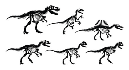Dinosaur skeletons black vector silhouettes on a white background © MdNirob