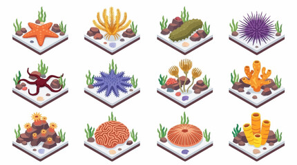 Colorful Isometric Ocean Life and Coral Reef Creatures. © Janji