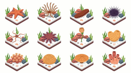 Colorful Seafood and Coral Reef Illustration Set. © Janji