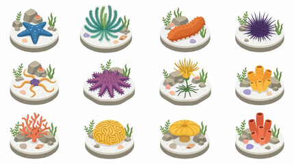 Colorful Sea Creatures and Coral Reef Illustrations. © Janji