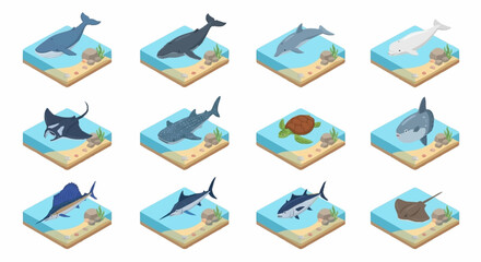 Colorful Isometric Whale and Shark Illustrations Collection. © Janji