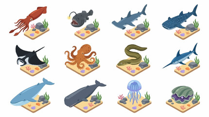 Colorful cartoon sea creatures in isometric style. © Janji