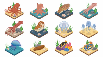 Colorful Isometric Sea Creatures and Marine Life Collection. © Janji