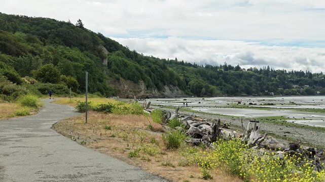 Paved trail along Pacific Northwest coastline with driftwood