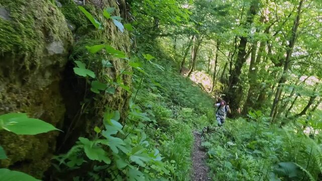 Female hiker ascending in wide shot along narrow woodland path in Georgia, using trekking poles through dense ferns and trees for trail safety, eco tourism, outdoor endurance, and Caucasus travel