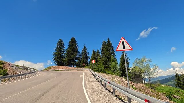 Cattle walking road side view in rural Georgia, showing small herd moving along mountain village pavement beside retaining wall for agriculture, livestock, countryside travel, and road safety content