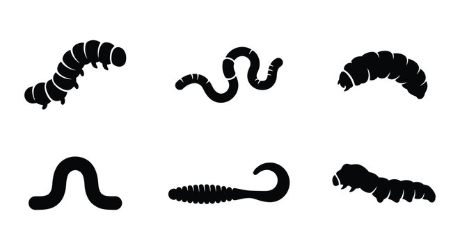 Worm illustrations black line art on a white background