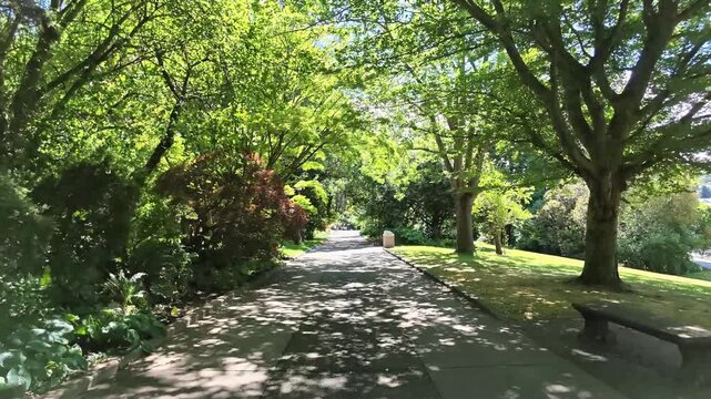 Walking along a paved path in a lush green park