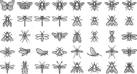 Set of black and white insect line icons vector illustration outline art bugs collection © Fensi