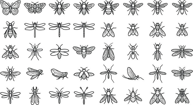 Set of black and white insect line icons vector illustration outline art bugs collection