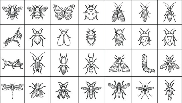 Set of diverse insects and arthropods isolated on white background drawn in simple black outline style