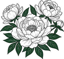 Elegant outline drawing of peonies and leaves, hand-drawn botanical illustration, black and white floral artwork, romantic and delicate decorative design. © MRSTOCK LAB