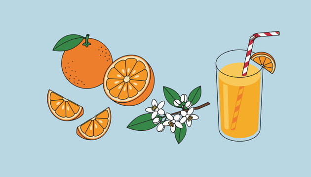 Fresh orange fruit slices with blooming white flowers and a glass of organic orange juice with a striped straw.