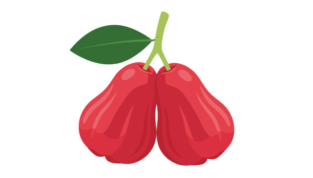 Two ripe red water apples hanging from a green branch with a single leaf isolated on a clean white background.