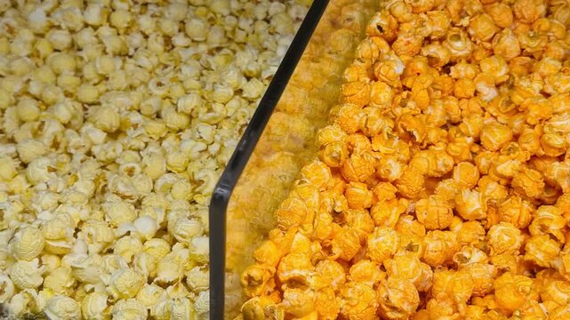 Two types of fresh popcorn separated by glass divider in machine close up. Crunchy white salted corn and vibrant orange cheese flavor snacks in cinema concession stand window. Fast food variety.