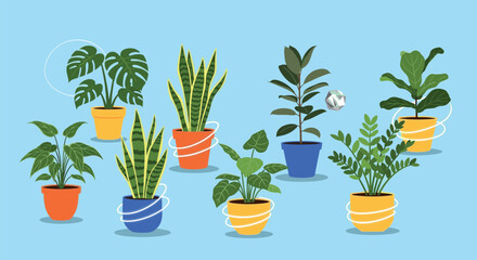 Fototapeta premium Collection of various green houseplants in colorful pots such as monstera, snake plant, and rubber tree set against a solid blue background.