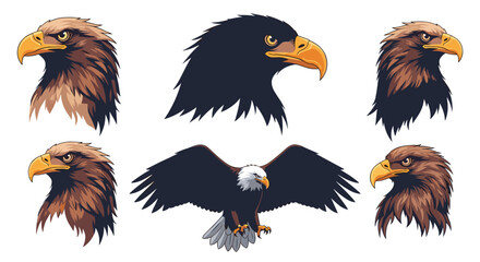 Fototapeta premium Majestic eagle portraits showing the heads of bald and golden eagles plus a full view of an eagle in flight with wings spread.