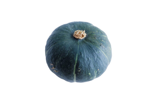 One kabocha squash isolated on a transparent background, single fresh green Japanese pumpkin