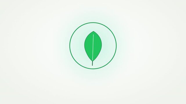 Green leaf for go green sign green environment campaign background in white