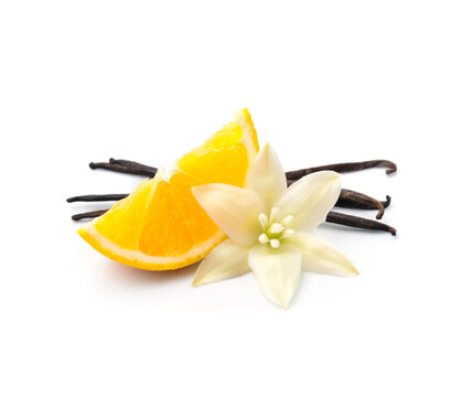 Vanilla pods with oranges fruits slick