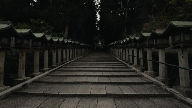 Moody view of stone steps at Hozanji Temple in Ikoma, lined with traditional lanterns and surrounded by dark forest, creating a sacred atmosphere.