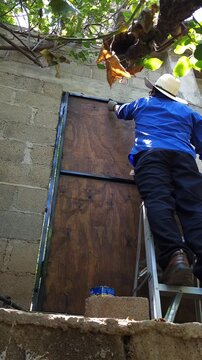 Young man wearing hat on ladder painting wooden door and metal frames