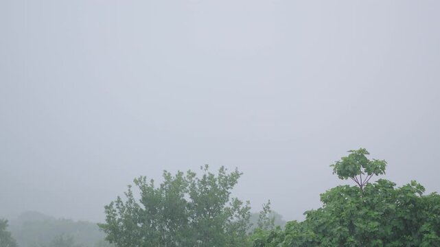 Dense storm clouds unleash heavy rain over green treetops, creating a misty, moody scene with soft natural lighting and dramatic atmosphere.