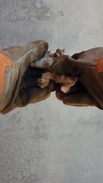 Gloved hands holding and showing cotton ball stained with brown rust