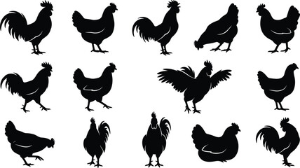 Rooster and Hen Poultry Silhouette Vector Set Featuring Farm Chickens in Various Poses Running Standing and Flapping Wings for Agriculture Designs © Bijoy